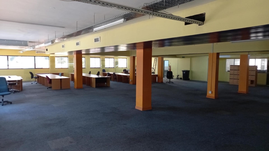 To Let commercial Property for Rent in Rondebosch Western Cape